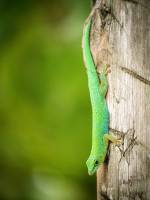 Antoine PIHEN - Antoine Pihen Photographe