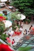 David LY - DAILY CORPO