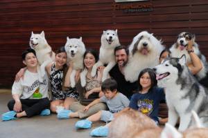 Edward MATEI-DEDIU - MOVART STUDIOS