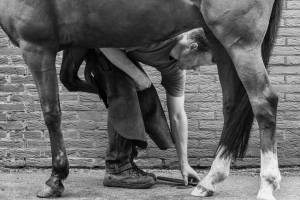 Alexandre LAOUBI - LIGHT EX MACHINA